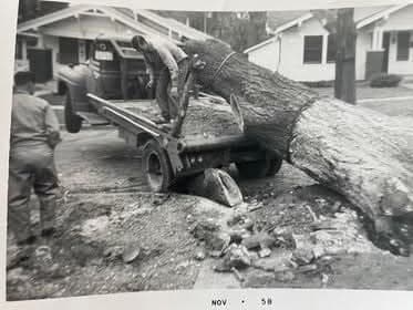 Men loading a massive tree trunk onto a vintage flatbed truck in a residential neighborhood.